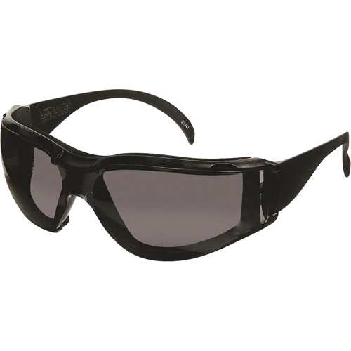 Dentec 12E93102DX Lunettes de s&eacute;curit&eacute; CeeTec DX, Lentille Gris, Antibu&eacute;e/Anti-&eacute;gratignures, R&eacute;pond ou surpasse la norme CSA Z94.3