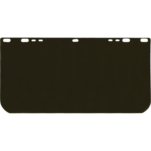 Dentec 12F487400GR Visi&egrave;re Valuguard, Polycarbonate, Teinte Vert