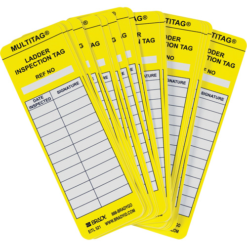 Brady LAD-EITL521 Laddertag Inserts, Plastic, 2" W x 6-1/2" H, English