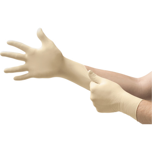 Ansell UL-315-S MICROFLEX&reg; Ultra One&reg; Examination Gloves, 6.5/7/Small, Latex, 9.8-mil, Powder-Free, Natural, Class 2