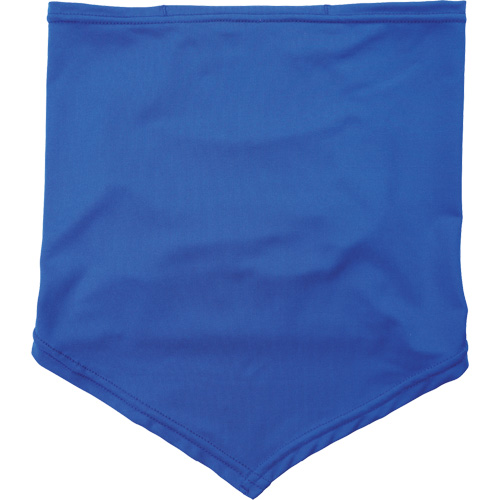 Ergodyne 42134 Chill-Its 6483 Cooling Neck Gaiter Bandana with Pocket, Blue