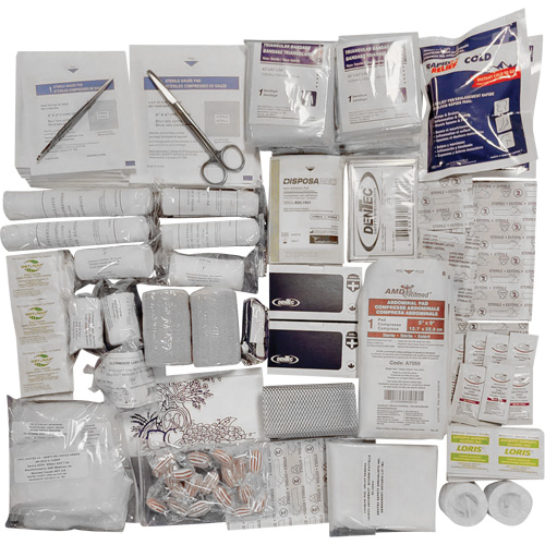 Dentec 81CSA-0006-0R Shield Intermediate First Aid Kit Refill, Meets CSA Z1220-17 Type 3 High-Risk Environment, Medium (26-50 Workers)
