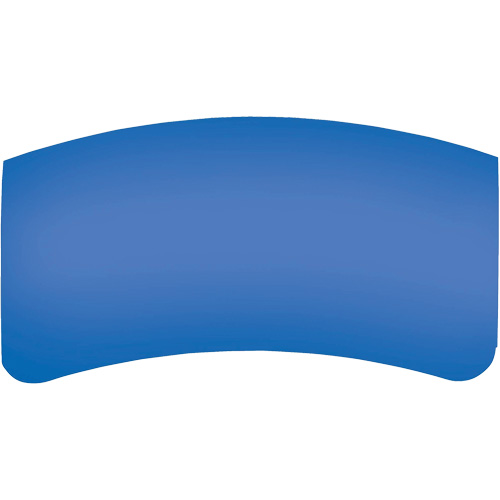 Bullard BGVXOL40 Bullard GenVX PETG Outer Lens