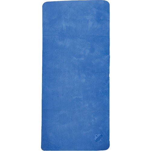 Ergodyne 12411 Chill-Its 6601 Economy Evaporative Cooling Towel, Blue