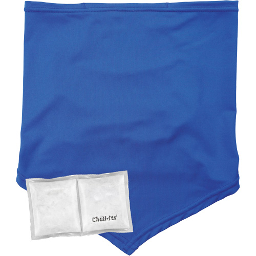 Ergodyne 42135 Chill-Its 6482 Cooling Neck Gaiter Bandana with Rechargeable Phase Change Packs, Small/Medium, Blue