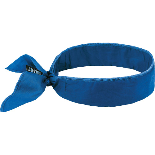 Ergodyne 12399 Chill-Its 6702 Cooling Headband with Embedded Polymers & Tie Closure, Blue