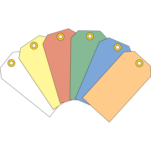  SAG517 Coloured Blank Tags, Cardstock, 1-7/8" W x 3-3/4" H