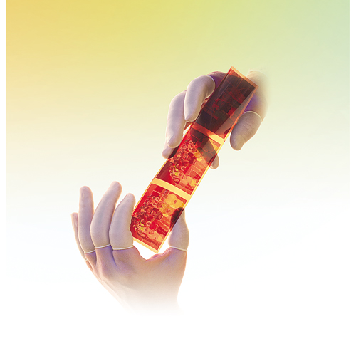 PIP Global Safety GP2C/XL QRP&reg; Low Powder Latex Finger Cots