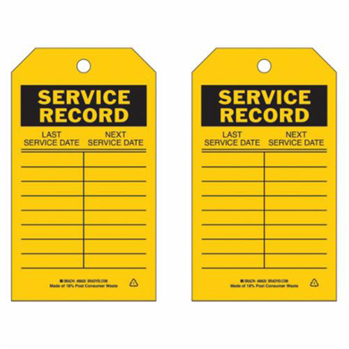 Brady 86625 Material Control Tags, Polyester, 4" W x 7" H, English