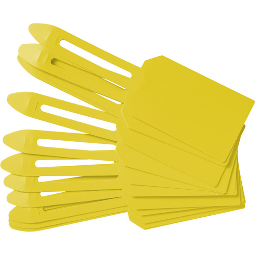 Brady 30684 &eacute;tiquettes de cadenassage vierges en plastique, Plastique, 3-1/4" la x 5-4/5" h, Vierge