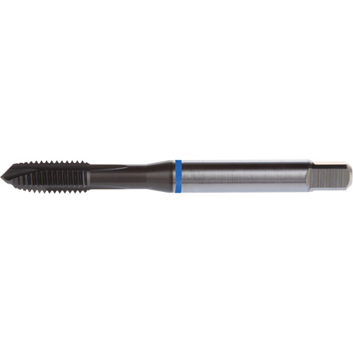 Dormer 7350280 Taraud &agrave; entr&eacute;e h&eacute;licoidale Blue Shark, Acier rapide au cobalt, Filet de 8-32, 2,48" l