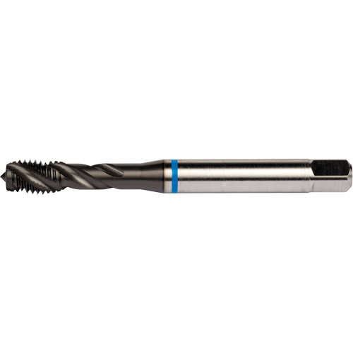 Dormer 7350360 Blue Shark Spiral Flute Tap, High Speed Cobalt, 5/16"-24 Thread, 3.543" L