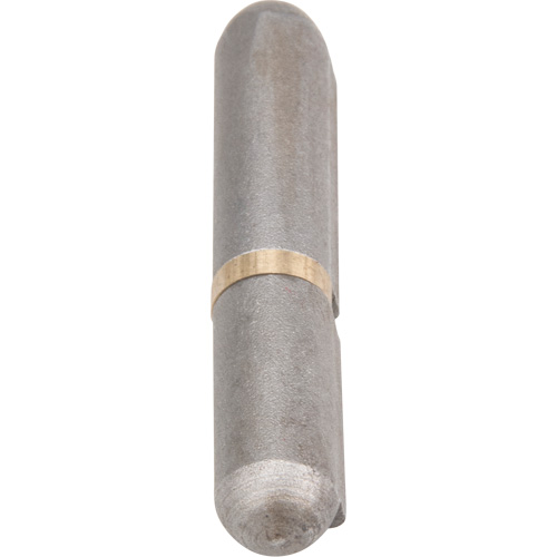 Outils Aurora TTV433 Charni&egrave;re &agrave; souder, 0,315" dia. x 1,575" lo, Acier doux a/goupille fixe en acier