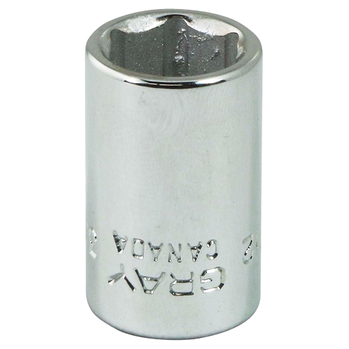 Gray Tools V12 Socket, 3/8", 1/4" Drive, 6 Points
