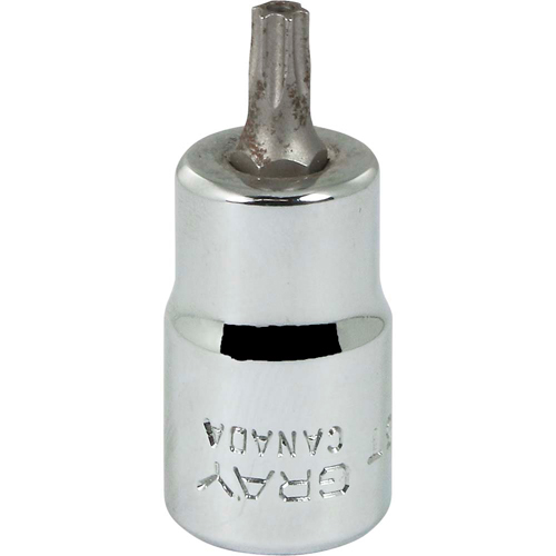 Gray Tools T625T Bit Socket, Torx&reg;, T25 x 2-1/8" L, 3/8" Drive