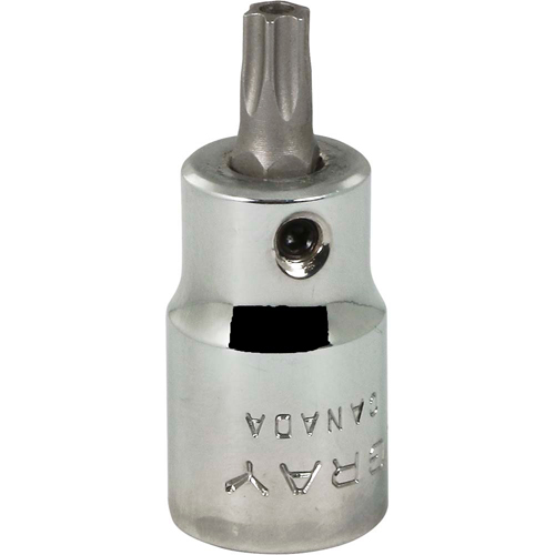 Gray Tools T630T Douille &agrave; embout, Torx, T30 x 2-1/8" lo, Prise 3/8"