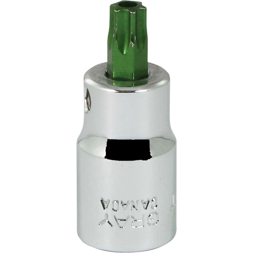 Gray Tools T640T Douille &agrave; embout, Torx, T40 x 2-1/8" lo, Prise 3/8"