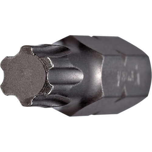 Vega 125IP40A Insert Bit, Torxplus®, 40, 1/4