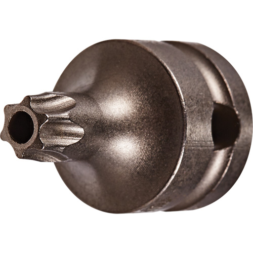 Vega 228TT40SB Embout &agrave; ins&eacute;rer, Torx inviolable, 40 x 1" lo, Prise 3/8"