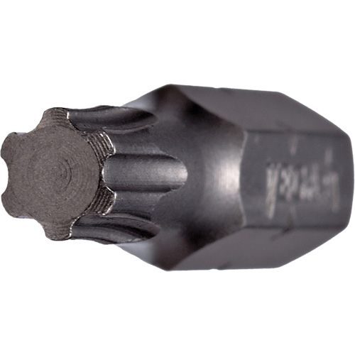 Vega 230IP30A Embout, Torxplus, 30, Prise 5/16"