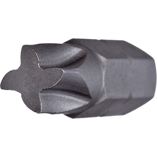 Vega 230MT2A Insert Bit, Mortorq&reg;, 2, 5/16" Drive