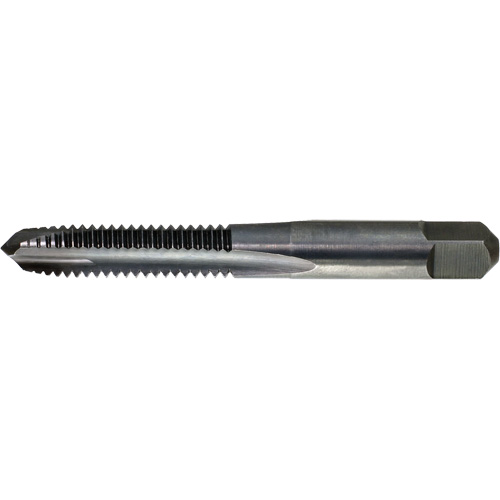 Drillco 21A006FP Drillco&reg; Spiral Point Tap, High Speed Steel, 6-40 Thread, 2" L