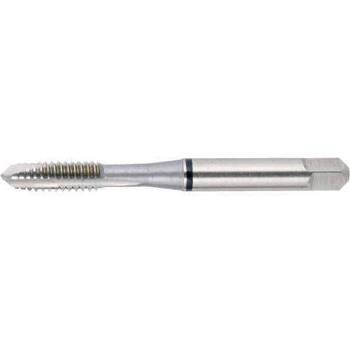 Drillco 21PS120F Taraud &agrave; pointe spiral&eacute;e Nitro Drillco, Acier rapide, Filet de 5/16"-24, 2-23/32" l