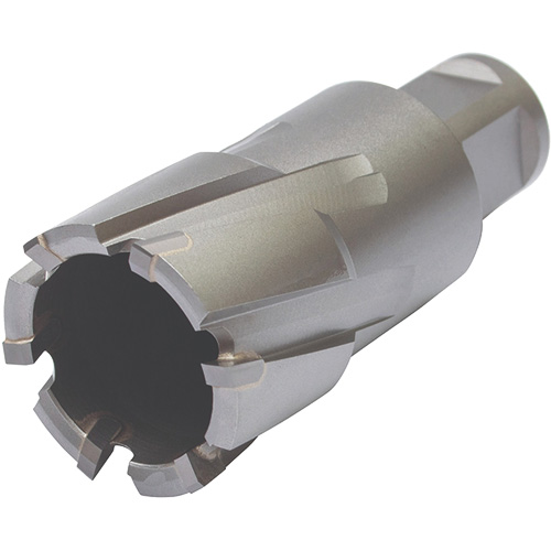 Walter Surface Technologies 05F120 Core Cut Annular Cutter with Weldon Shank, 20 mm Diameter, Carbide, 30 mm Depth of Cut, 3/4" Shank