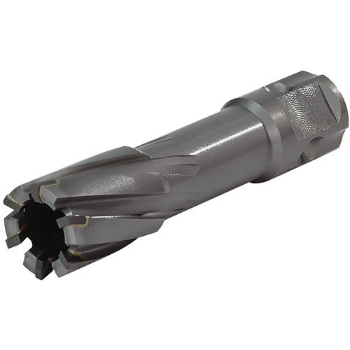 Walter Surface Technologies 05H310 Universal Shank Annular Cutter, 5/8" Diameter, Carbide, 2" Depth of Cut, 3/4" Shank