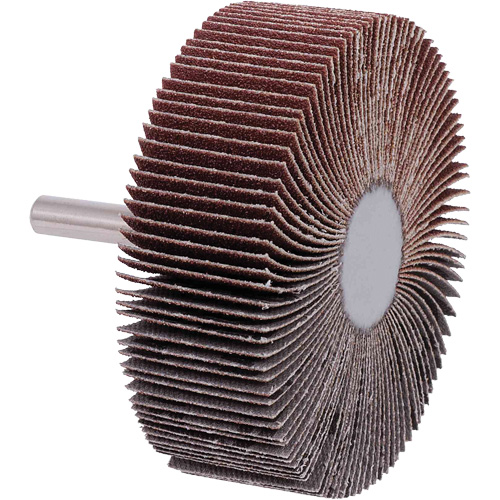 JET 560321 Disques &agrave; lamelles, Grain 40, 3" x 1"