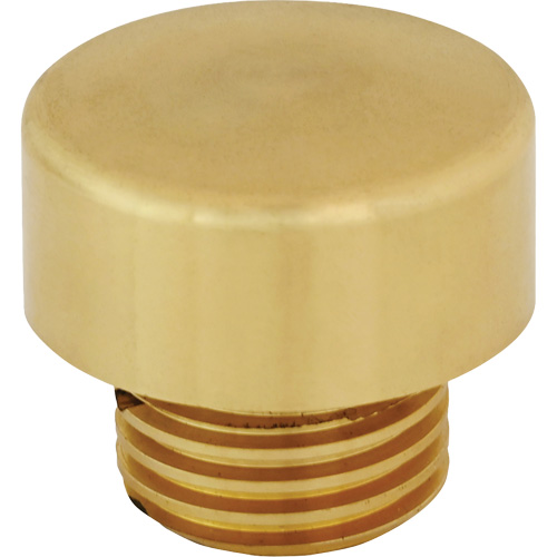 Dynamic Tools D041073 Replacment Hammer Tip for Dead Blow Hammer