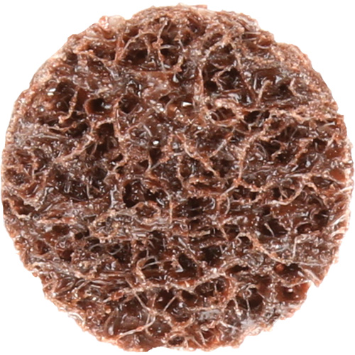 3M STA-840037 Disque de conditionnement de surface &agrave; remplacement rapide Standard Abrasives, 3/4" dia., Grain Cors&eacute;, Oxyde d'aluminium