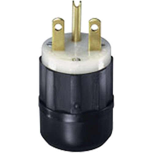 Leviton 5666-C Prise &agrave; broches droites mise &agrave; la terre &agrave; deux bornes et trois fils, Nylon, 15 A, 250 V