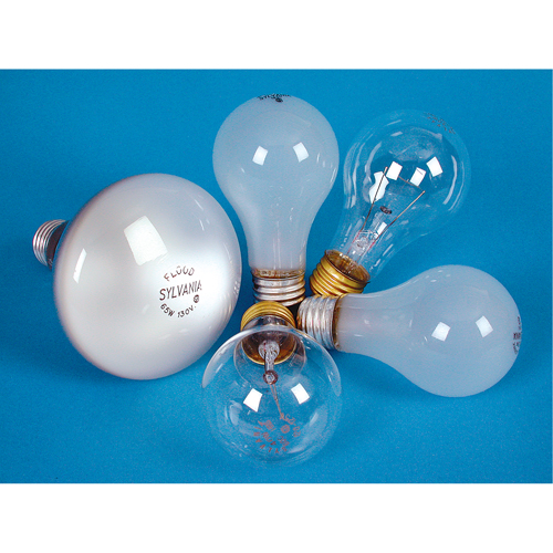 Sylvania 10645 LAMPE INCANDESCENTE,25W,130V,GIVREE,2/PQT