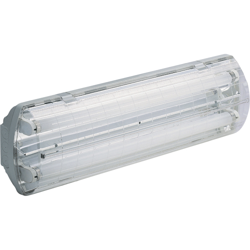 Beghelli BS10048T8232AC120V Lampes Vapor-Tight s&eacute;rie BS100 Illumina, Polycarbonate, 120 V