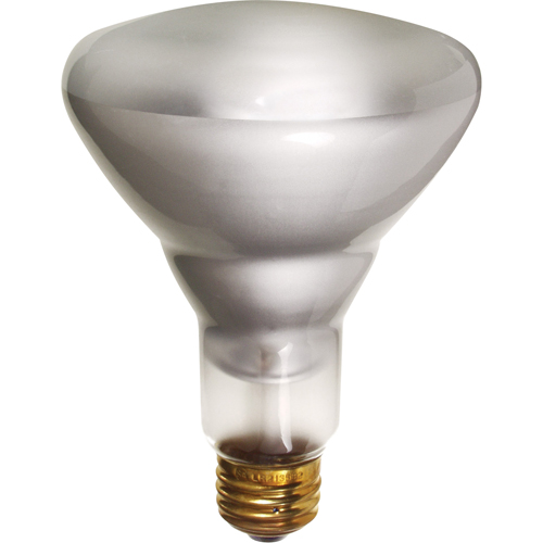  XC567 Economy Line Incandescent Lamps