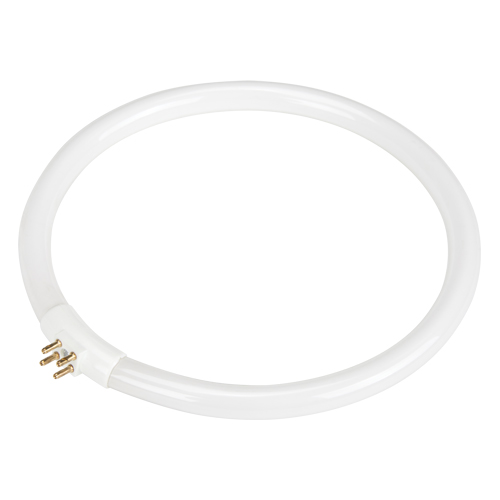 Dainolite Ltd FCT422-CW Ampoule fluorescente de rechange pour lampes-loupes Rhinomag, 22 W