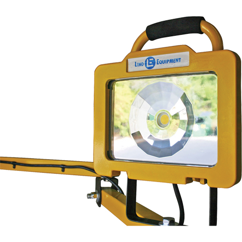 Lind Equipment L41LED Heavy-Duty Dock Light, 40" Arm, 38 W, LED Lamp, Metal