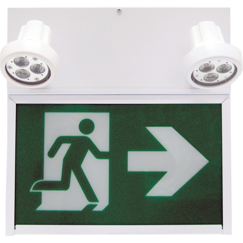 Beghelli SLRM636LU0LRM2SR5WLED Enseigne de sortie coureur, DEL, &agrave; piles/&agrave; raccordement fixe, 12" lo x 12 1/2" la, Pictogramme