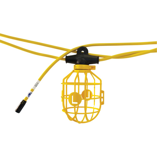 Lind Equipment TLS-100CG14 Courroie de lumi&egrave;res moul&eacute;e et robuste, 10 Lumi&egrave;res, 1200" lo, Boîtier en Plastique
