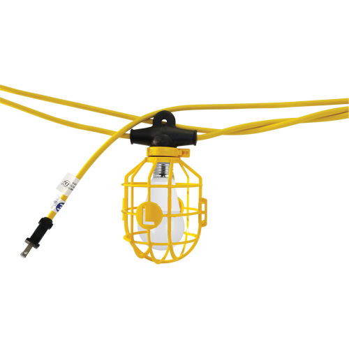 Lind Equipment TLS-100SJ14LED Chaînes de lumi&egrave;res DEL avec connecteur, 10 Lumi&egrave;res, 1200" lo, Boîtier en Plastique