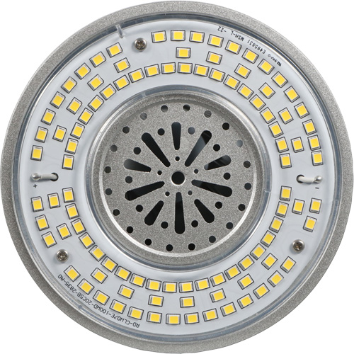 Sylvania 40718 Lampe haute luminosit&eacute; Ultra LED, DHI, 100 W, 13500 lumens, base Mogul