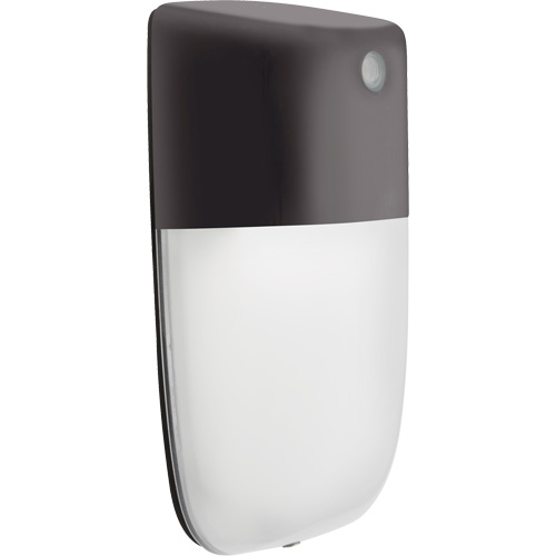Lithonia discount wall sconce