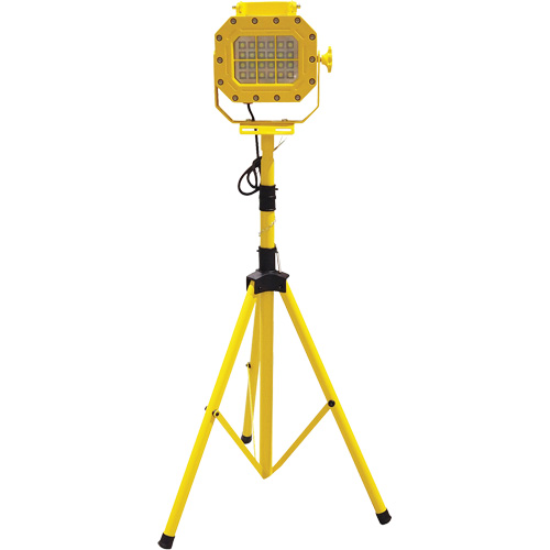 Lind Equipment XP970LED-TR Diffuseur anti-d&eacute;flagration avec tr&eacute;pied, DEL, 40 W, 5600 lumens, Boîtier en Aluminium