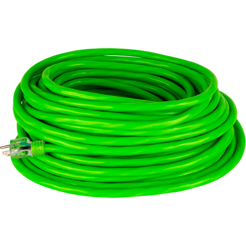 Outils Aurora XJ571 Cordon rallonge de calibre industriel, Toutes saisons, SJTW, AWG 10/3, 15 A, 50'