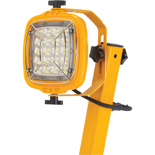 Outils Aurora XJ619 Lampe de quai, Bras 40", 50 W, Ampoule DEL, M&eacute;tal