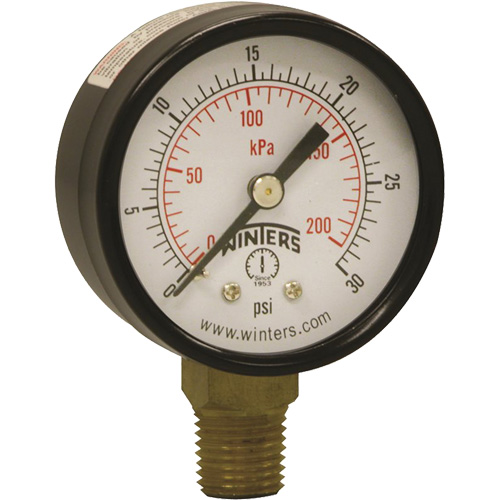 Winters PEM199 Economy Pressure Gauge, 2" , 0 - 30 psi, Bottom Mount, Analogue