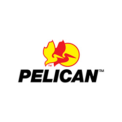 Pelican