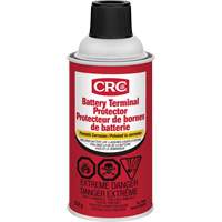 Battery Terminal Protector, Aerosol Can AE952 | TENAQUIP