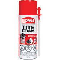 Titefoam Gaps & Cracks Insulating Foam Sealant, Aerosol Can, White  AG724 | TENAQUIP